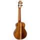 Ukelele Concierto Flight Spirit CE