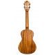Ukelele Tenor Flight Victoria CEQ