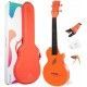 Ukelele Concierto Enya Nova U Naranja